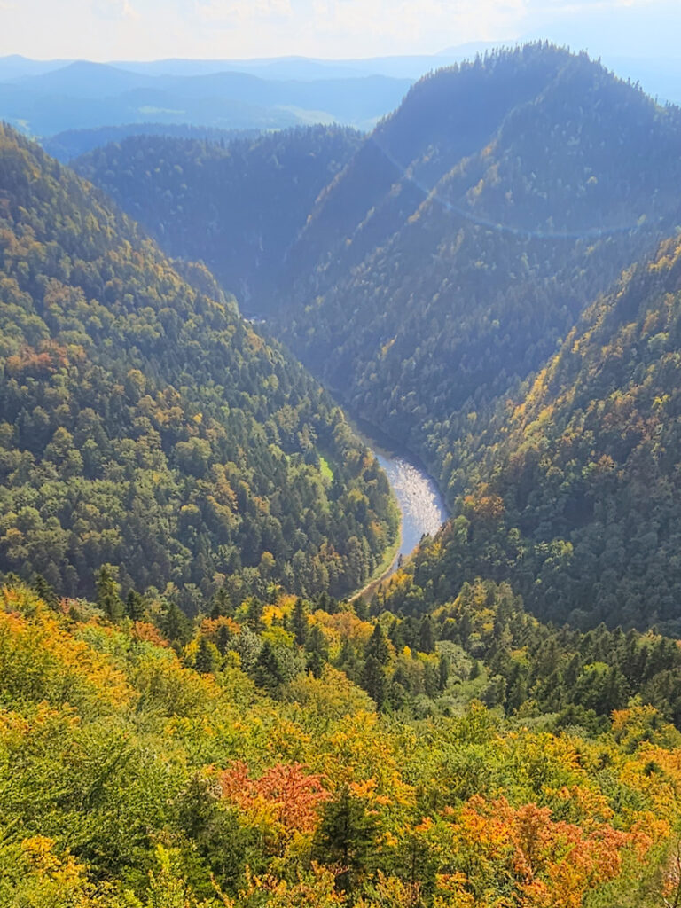 Ein Ausblick von den Bergen Polens oder und der Slowakei hinunter auf den Fluss Dunajec, der sich durch ein Tal zwischen den bewaldeten Hängen hindurch windet. Das Foto wurde von einer Wanderweg auf einem der Berge aus aufgenommen.