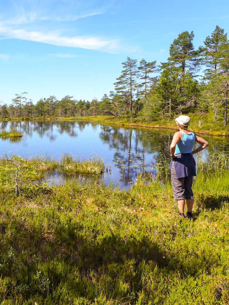 Eine Frau auf einer Wanderreise steht vor einem See in der schwedischen Wildnis. Die Sonne scheint hell vom blauen Himmel und sie lässt sie sich ins Gesicht scheinen.