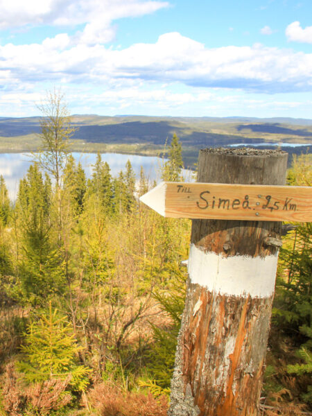 Ein hölzernes Schild auf einem Wanderweg ist im Vordergrund des Bildes zu sehen. Dahinter sieht man schwedische Nadelwälder, sowie einen See im Norden Schwedens.
