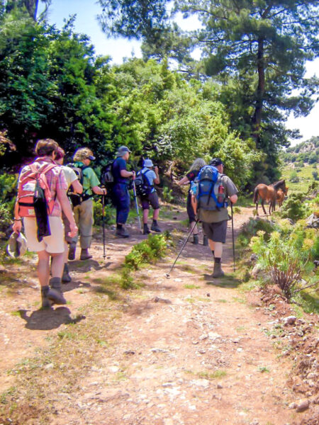 Mehrere Personen auf einer Wanderreise gehen einen Pfad in der Türkei entlang. Ein wilders Pferd kreuzt ihren Weg ein Stück vor ihnen.