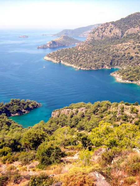 Man sieht eine naturbelassene Buch an der Küste der Türkei. Nur Bäume und Büsche zieren die Umgebung, während man weit und breit keine Tourist*innen erkennen kann.