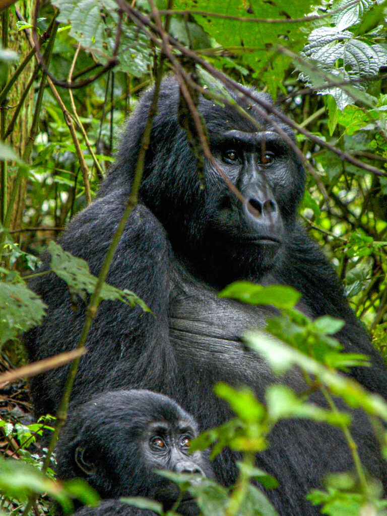 UGG01_Uganda_Website_Galerie_1024x13662