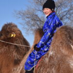Ulzii, Guide Mongolei
