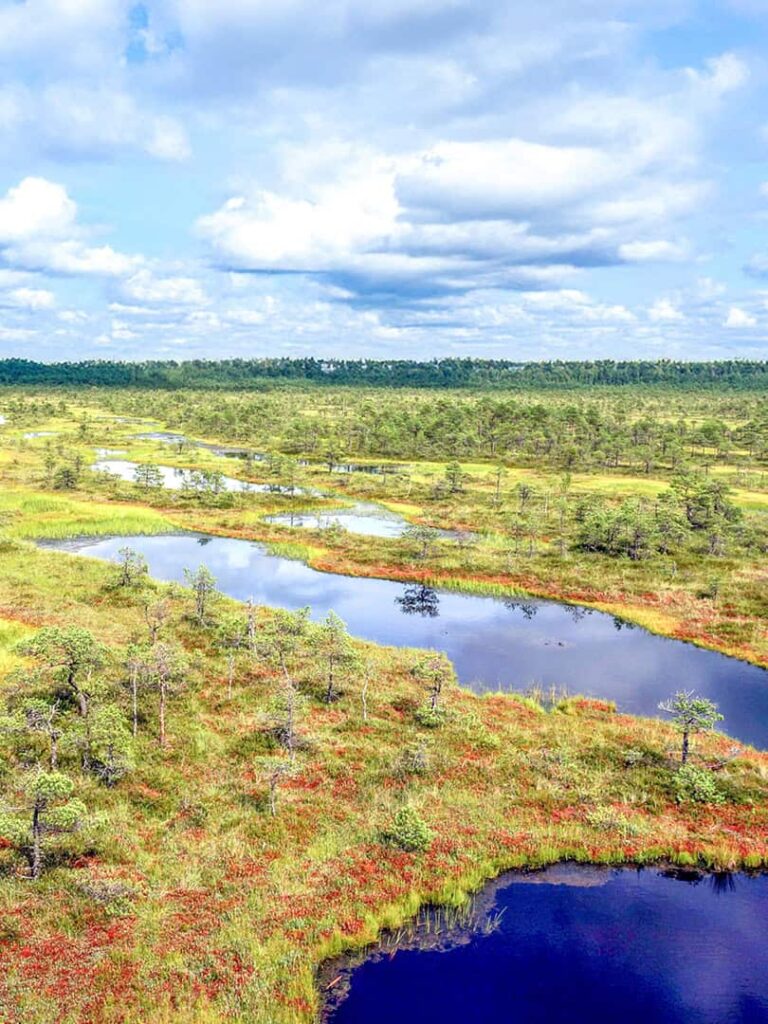 Man sieht ein Bild der Seenplatte im Baltikum. Die Grüns und Rots verschwimmen hier ineinander, während die Seen in kräftigem Blau herausleuchten.