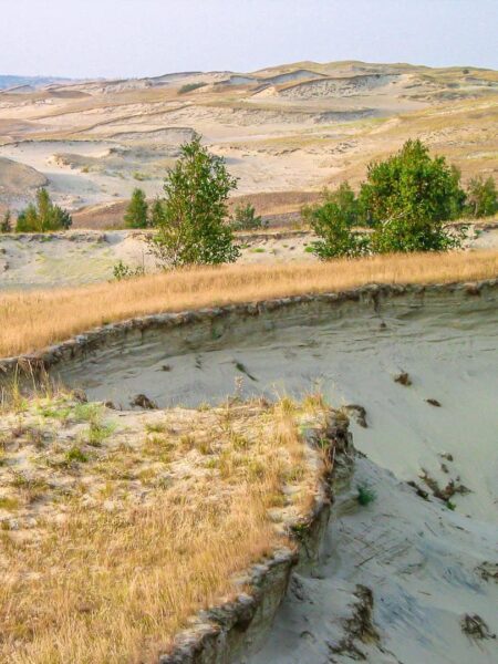 Man sieht die mit kargen Gras bewachsenen Dünen in der kurischen Nehrung in Litauen, einer der Halte der Weltweitwandern-Reise im Baltikum.