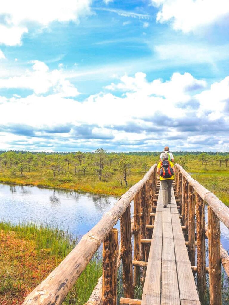 Zwei Personen auf Wanderreise gehen über eine Holzbrücke über einen See im Baltikum. Unter ihnen breiten sich die prächtigen Farben der Region aus.