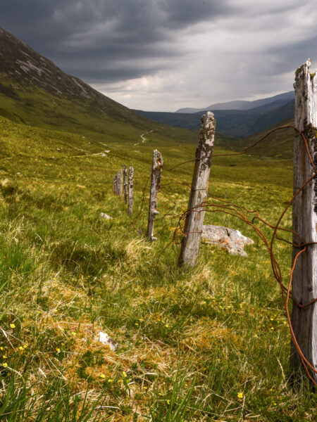 Man sieht eine Weide irgendwo in den schottischen Highlands. Im Vordergrund sieht man einen alten Zaun, der die Grundstücke trennen soll.
