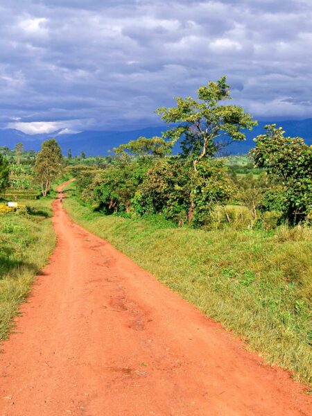 Auf dem Bild sehen wir den Weg zu den Ruwenzoris, eine Gebirgskette im Westen von Uganda.