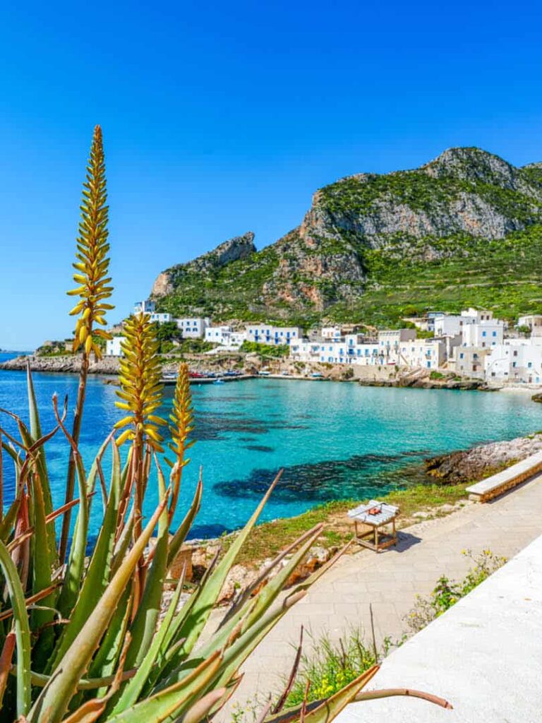 Im Hintergrund des Bildes sieht man die Bucht der Agidischen Insel Levanzo. Die Insel liegt vor der Westküste von Sizilien und ist als Wanderparadies bekannt. Im Vordergrund wächst eine blühende Aloe-Vera-Pflanze.