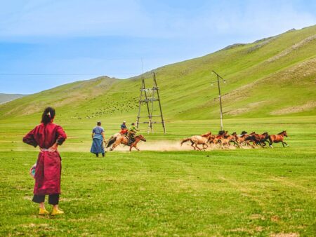 Eine Herde wilder Pferde wird über die Steppe im Nationalpark Chustain Nuruu in der Mongolei getrieben. Im Vordergrund steht eine Frau in roter, traditioneller Kleidung.