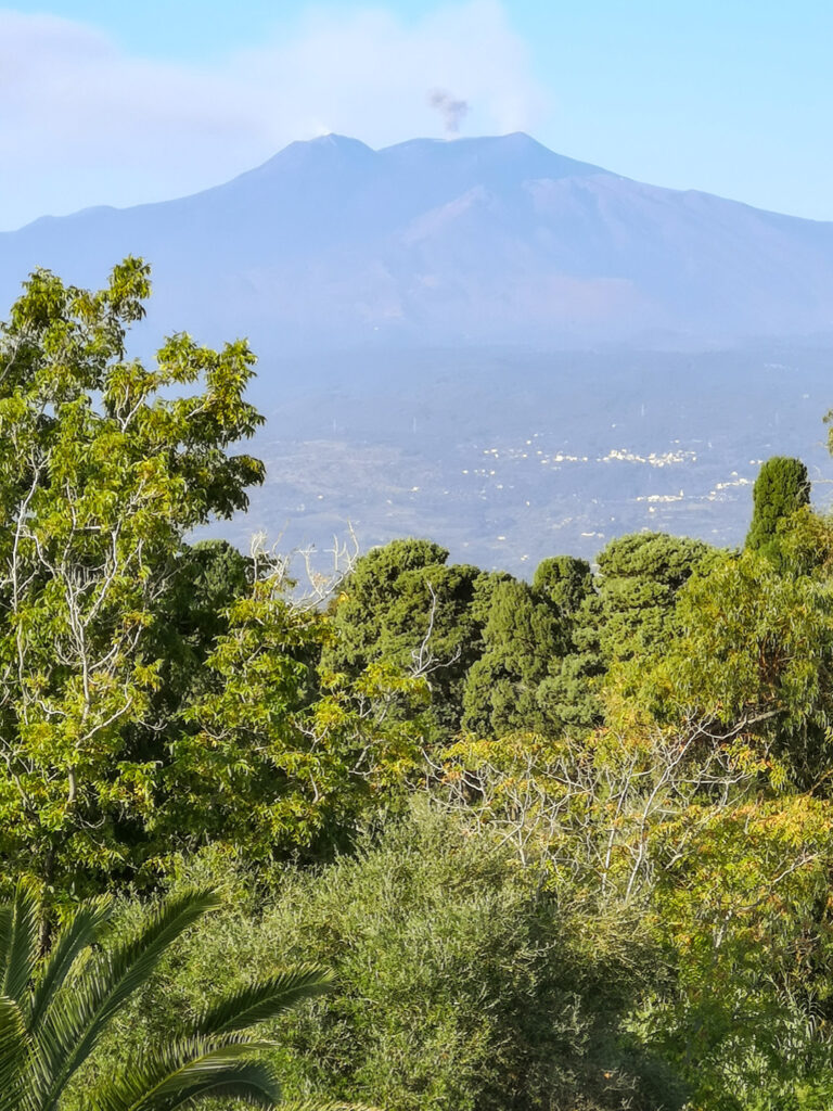 Hinter ein paar Bäumen auf Sizilien sieht man den qualmenden Gipfel des Ätna, des höchsten aktiven Vulkans in Europa.
