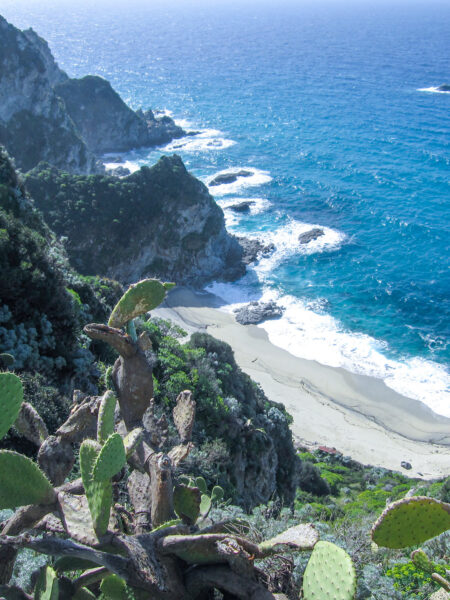 Das Bild zeigt einen Sandstrand am Capo Vaticano in Italien. Es wurde von der erhöhten Position eines Wanderweges aus aufgenommen zwischen den Weltweitwandern-Guide, der Foto gemacht hat und dem tiefer gelegenen Sandstrand sieht man einige schroffe Felsen und Kakteen