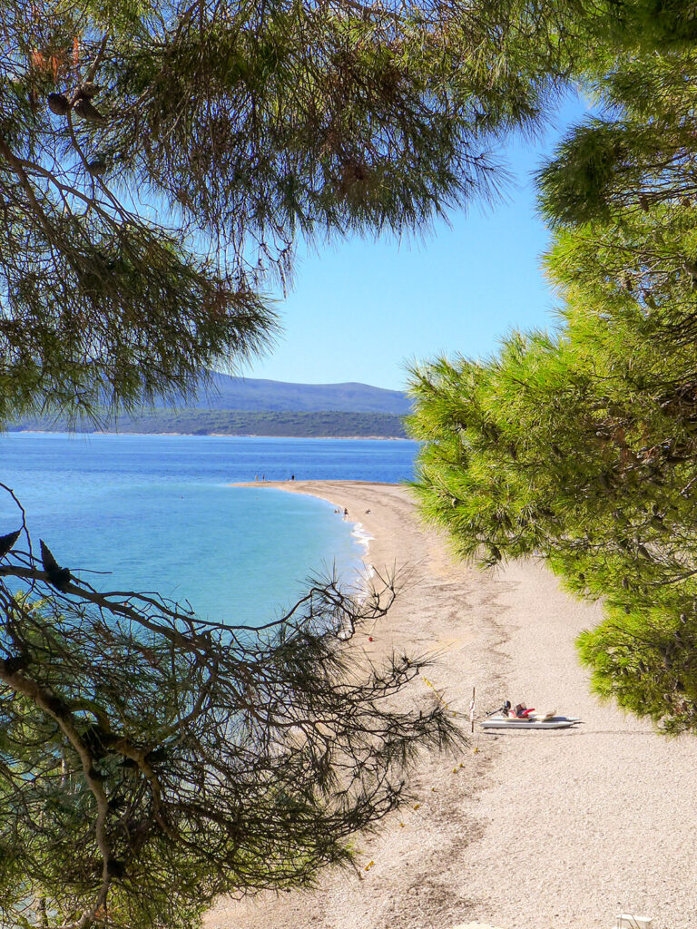 Ein Sandstrand der Insel Brac ist zwischen den Ästen von zwei Nadelbäumen aus erkennbar. Die Bucht ist ungestört und abseits des Massentourismus.