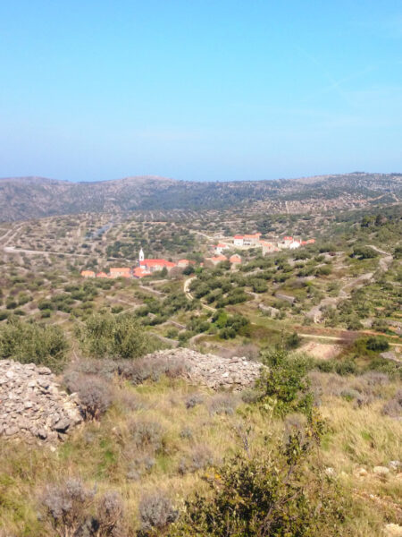 Eine kleine Ortschaft liegt mitten in der Landschaft der Insel Hvar in Kroation. Das Foto wurde von einem Wanderweg auf einer erhöhten Position auf der Insel aufgenommen.