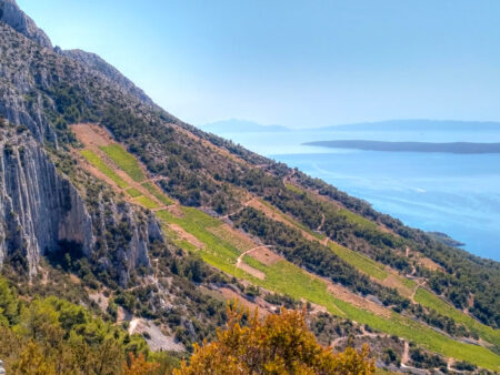 Ein Hang auf der Insel Hvar ist im Bild zu sehen, dahinter sieht man die Küste der kroatischen Insel.