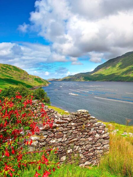 Man sieht den Killary Harbour, den einzigen echten Fjord Irlands, im Bild von der erhöhten Position eines Wanderweges aus.