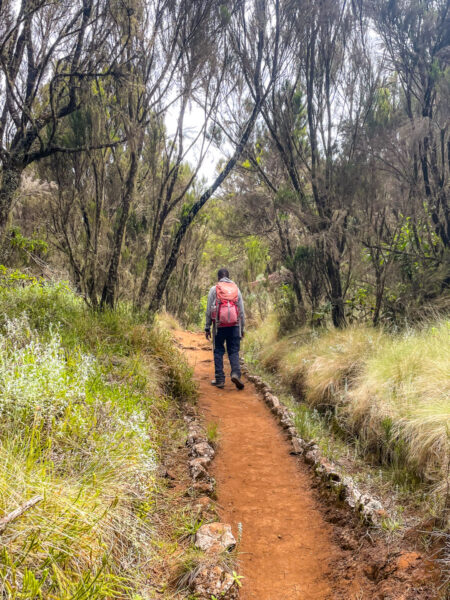 Ein lokaler Guide von Weltweitwandern steht auf einem Wanderpfad in Tansania.