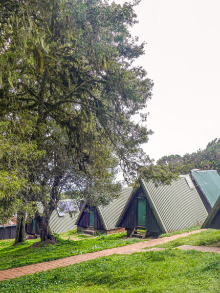 Auf dem Bild ist die Marangu-Hütte zu sehen. Sie befindet sich auf der Marangu-Route, einem der bekanntesten Wege hinauf auf den Kilimandscharo. Die Hütte ist eine der Unterkünfte auf dem Weg zum Gipfel.