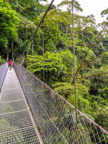 Eine Person auf Wander-Reise in Costa Rica geht über eine metallene Brücke, die auf ein Stück Urwald oder Dschungel hinüber führt.
