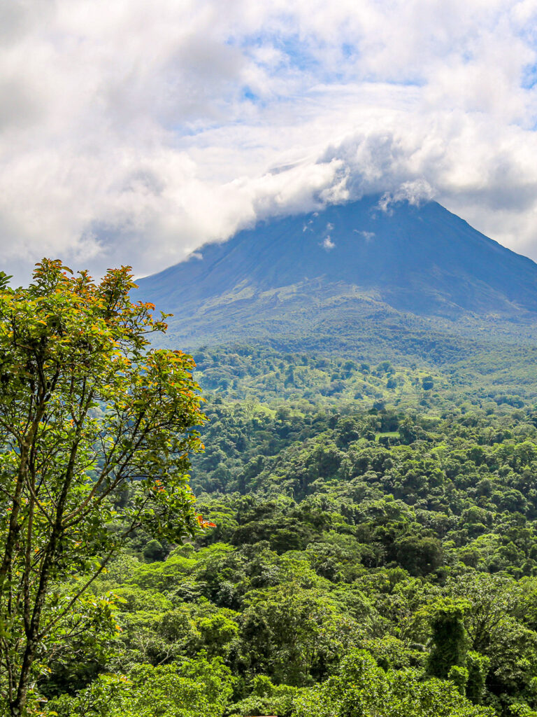 Man sieht eine Aussicht im Dschungel von Costa Rica. Im Vordergrund kann man die hohen Bäume des Regenwaldes erkennen, während im Hintergrund der Vulkan Arenal in den Himmel ragt. Er ist teilweise hinter dichten Regenwolken versteckt.