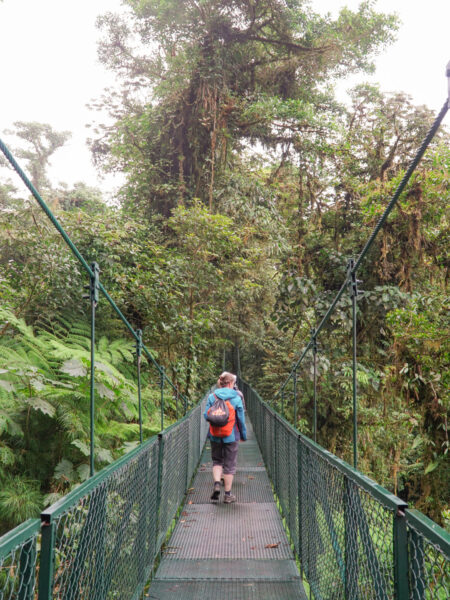 Eine Person mit einem Wanderrucksack geht über eine metallene Hängebrücke in Costa Rica. Über ihre Schulter hinweg kann man eine der vielen großen Bäume erkennen, die hier im Urwald in den Himmel ragen.