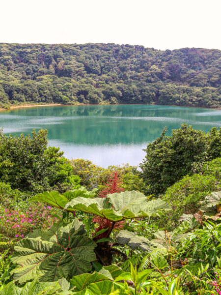 Man sieht einen See in Costa Rica, der im Zuge einer Reise mit Weltweitwandern besucht wird, umgeben von dichter Vegetation.