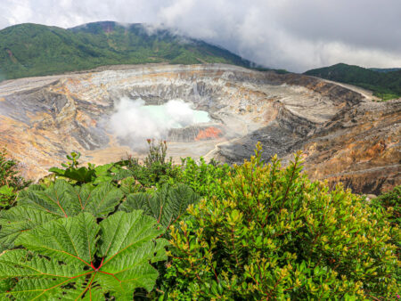 Man sieht den Krater des Vulkans Arenal. Im Vordergrund wachsen einige Büsche auf der großen Höhe des Vulkan. Vom Becken des Vulkan-Kraters steigt Rauch auf, während das Gestein um den Krater herum recht karg ist.