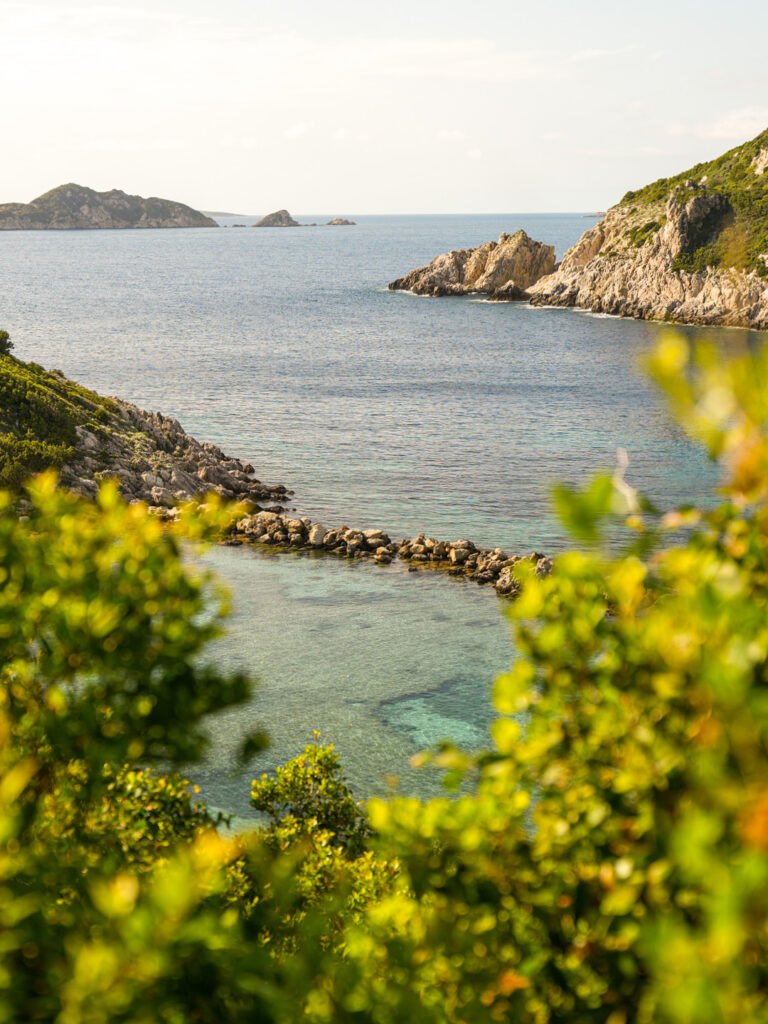 Man sieht einen alten Fischerhafen auf Korfu zwischen Pflanzen hindurch, die am Rande eines Wanderweges auf der griechischen Insel wachsen.