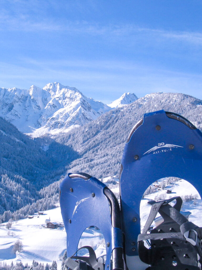 Man sieht zwei Schneeschuhe vor einer winterlichen Aussicht im Lesachtal in Kärnten.
