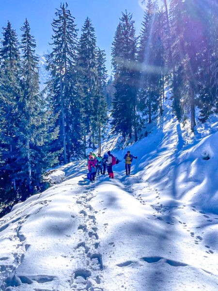 Eine Gruppe auf Wanderreise geht mit ihren Schneeschuhen einen verschneiten Wanderweg im Lesachtal in Österreich entlang.