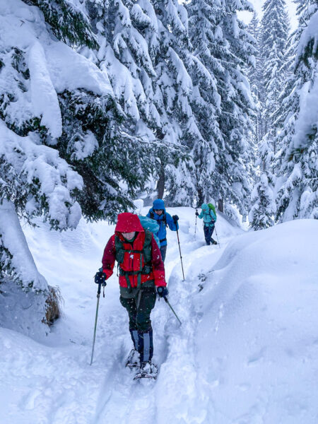 Drei Personen auf Wanderreise im Lesachtal gehen einen Hang mit Schneeschuhen hinauf. Auf der einen Seite der Gruppe liegt eine hohe Schneewehe, auf der anderen steht ein schneebedeckter Baum.