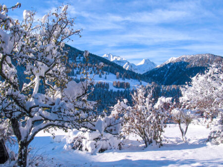 Der Ausblick vom Balkon einer Unterkunft im Lesachtal. Man sieht die weite Aussicht über das winterliche Kärntner Tal sowie einige schneebedeckte Obstbäume im Vordergrund.