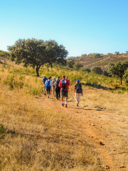 Eine kleine Gruppe wandert einen Pfad in Portugal entlag. Der Weg in den Korkeichenwäldern in Alentejo ist begrenzt durch gelbliches Gras auf beiden Seiten.