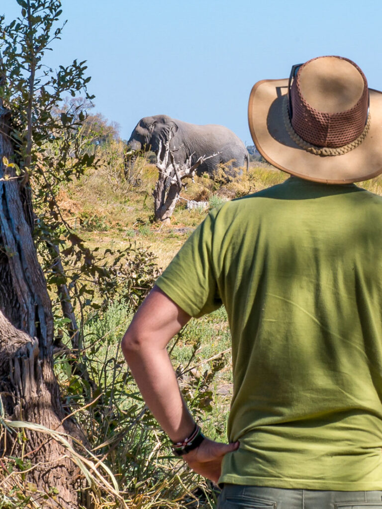 Ein Mann mit einem Hut steht in einem Nationapark im Süden von Afrika. Über seine Schulter hinweg sieht man einen Elefanten in der Steppenlandschaft stehen.