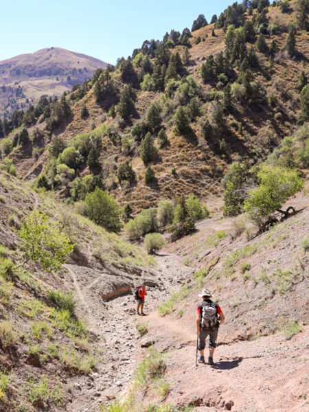 Zwei Personen auf Wanderreise gehen einen Weg in Usbekistan hinunter.