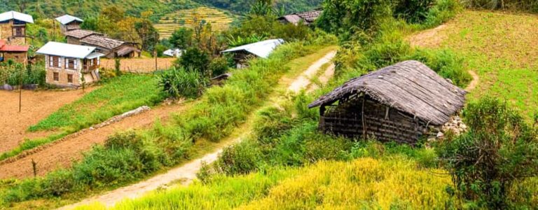 Man sieht mehrere Bauernhäuser in einem Tal in Bhutan. Das Foto ist von der Anhöhe eines Wanderweges gemacht.