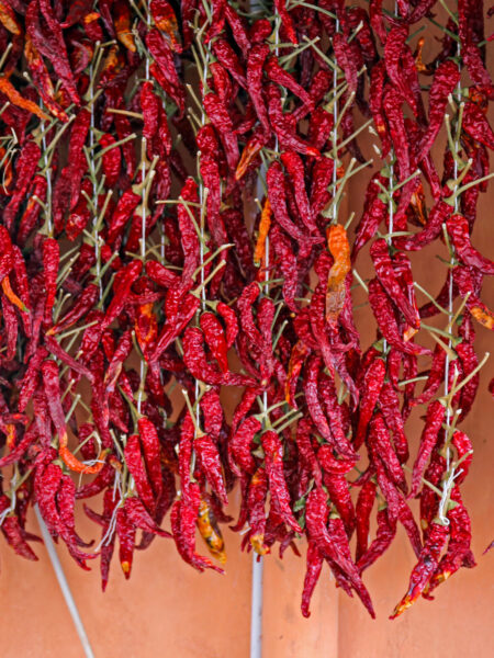 Mehrere getrockente Chilis oder Pepperoni hängen von Schnüren an einer Wand auf Ischia vor der Küste von Neapel.