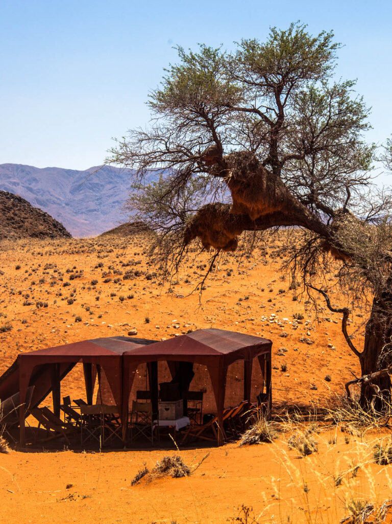 NAG03_Namibia_RoteDuenen_Website_Galerie_1024x13662