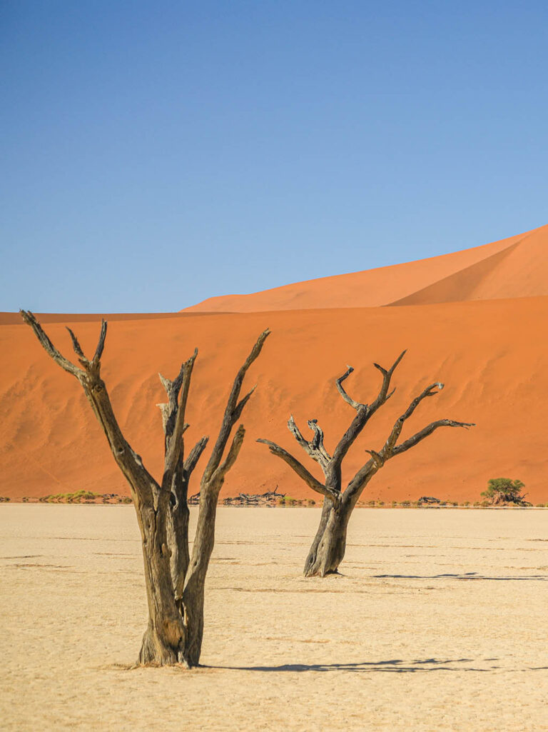 NAG03_Namibia_RoteDuenen_Website_Galerie_1024x13664