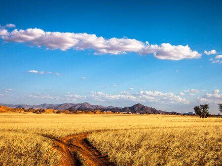 Weite Gras- und Wüstenlandschaft mit Bergen im Namib-Naukluft-Nationalpark in Namibia.