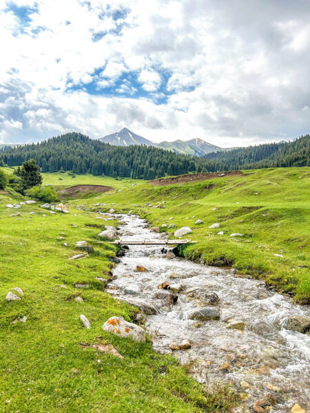 Ein Bächlein fließt durch die grüne Ladnscahft Kirgistans. Zu beiden Seite des Baches breitet sich ein Tal aus.
