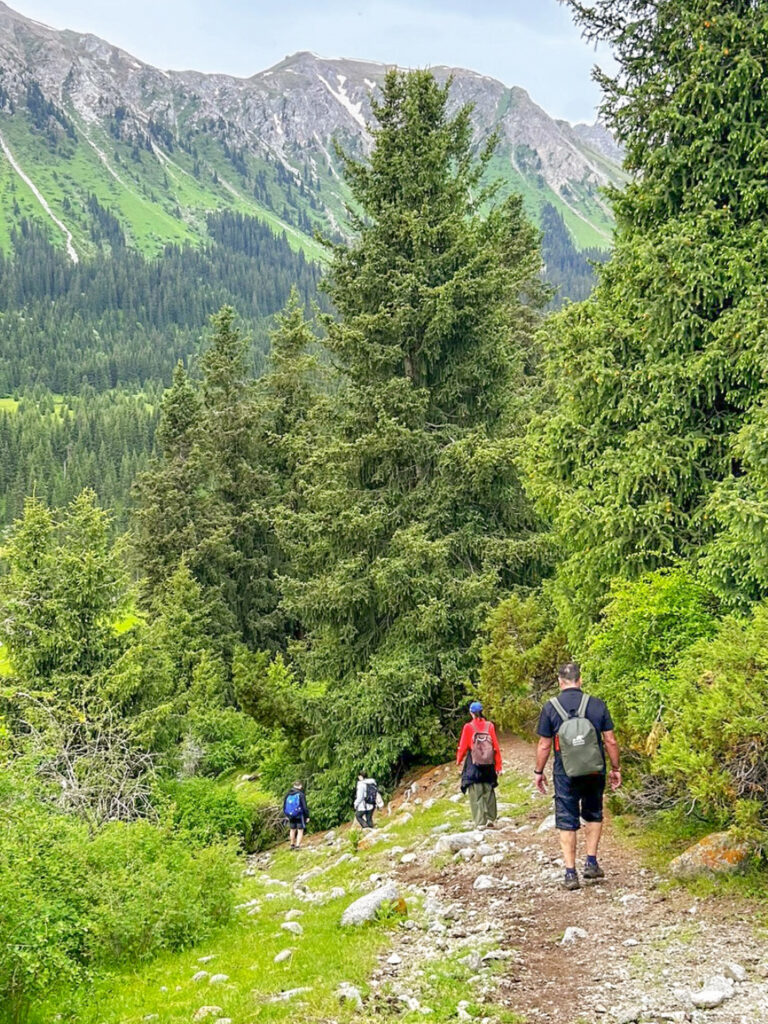 Drei Personen gehen einen Wanderweg in der Nähe der Svetlaya Polyana Gorge hinab. Zu ihrer Rechten ragen Nadelbäume in den Himmel hinauf, während im Hintergrund hohe Berge erkennbar sind.