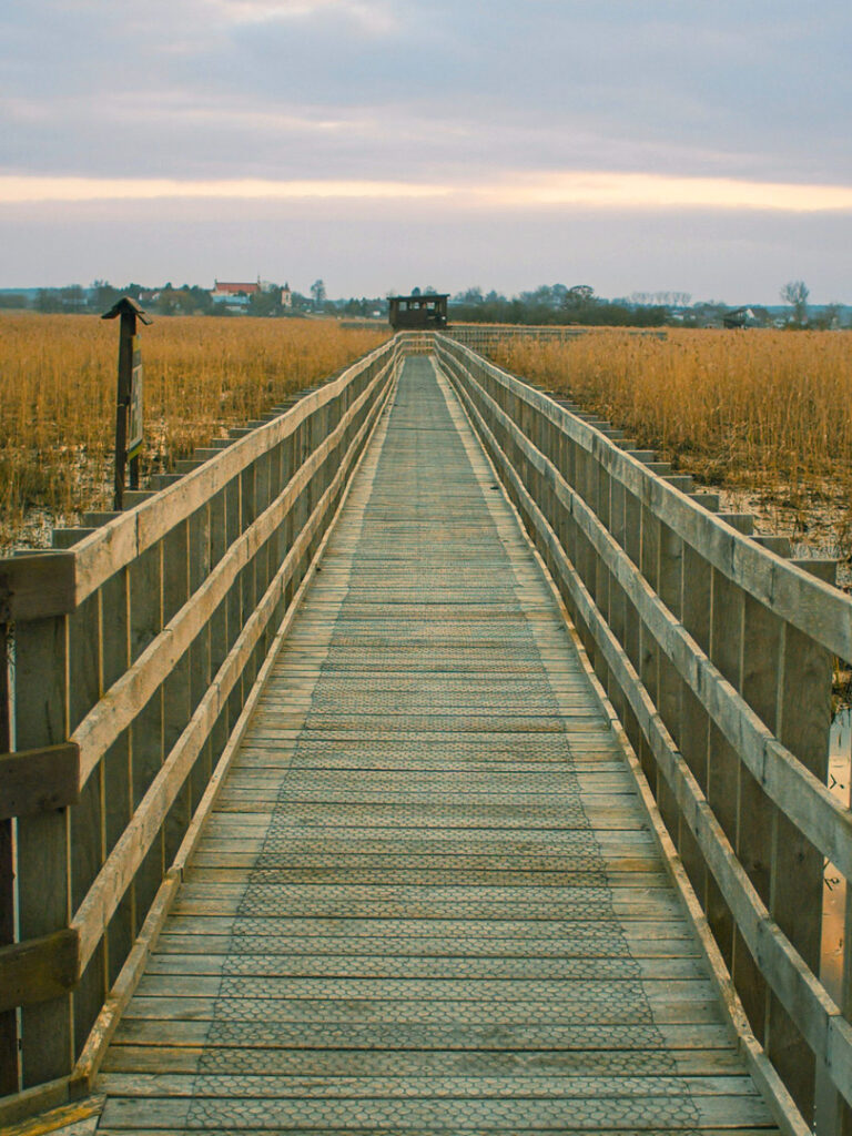 Das Bild zeigt eine Brück im Polesie Nationalpark in Polen. Die Brücke führt über einen der vielen Moore im Nationalpark in Polen.