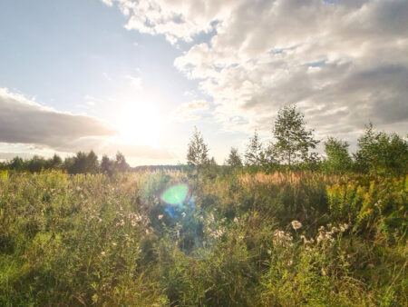 Die untergehende Sonne scheint in die Linse der Kamera. Sie sinkt gerade über dem Horizont im Osten von Polen, die gezeichnet ist von saftigen Wiesen und verzeinzelten Bäumen.