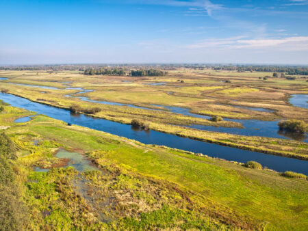 Eine Landschaftsaufnahme des Narew-Nationalparks in Polen. Mehrere Flüsse und Gewässer innerhalb des Naturschutzgebiets kommen am Bild zusammen, das im Zuge einer Wanderreise aufgenommen wurde.