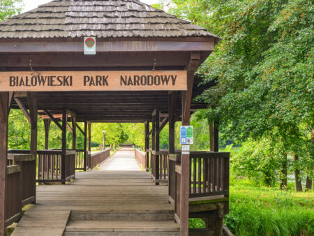 Ein Pavillon steht in der Kernzone des Białowieża-Urwaldes in Polen. Ein Weg führt durch einen Pavillon aus Holz hindurch und öffnet Leuten auf Wanderreise die Möglichkeit, die Natur Polens kennenzulernnen.