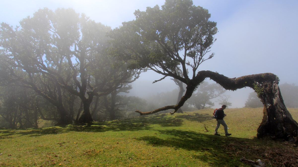 europa_madeira_img_4188