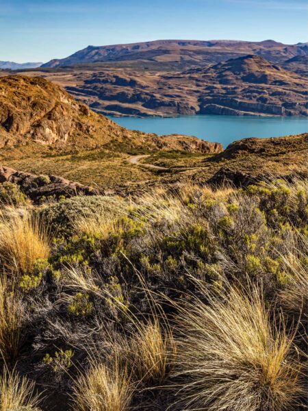Wir sehen den General-Carrera-See in Patagonien. Im Vordergrund sieht man zusätzlich einiges der Vegetation, wie man sie auch auf der Trekkingreise durch die Region zu Gesicht bekommt.