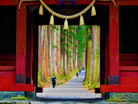 Man sieht einen Durchgang des Togakushi Schreins in Japan. Dahinter lässt sich ein langer Pfad zwischen hohen Bäumen hindurch erkennen.
