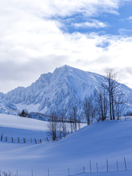 Im Vordergrund ist eine verschneite Winterlandschaft in den Kalkalpen zu sehen, während im Hintergrund der Große Pyhrgas zu sehen ist.